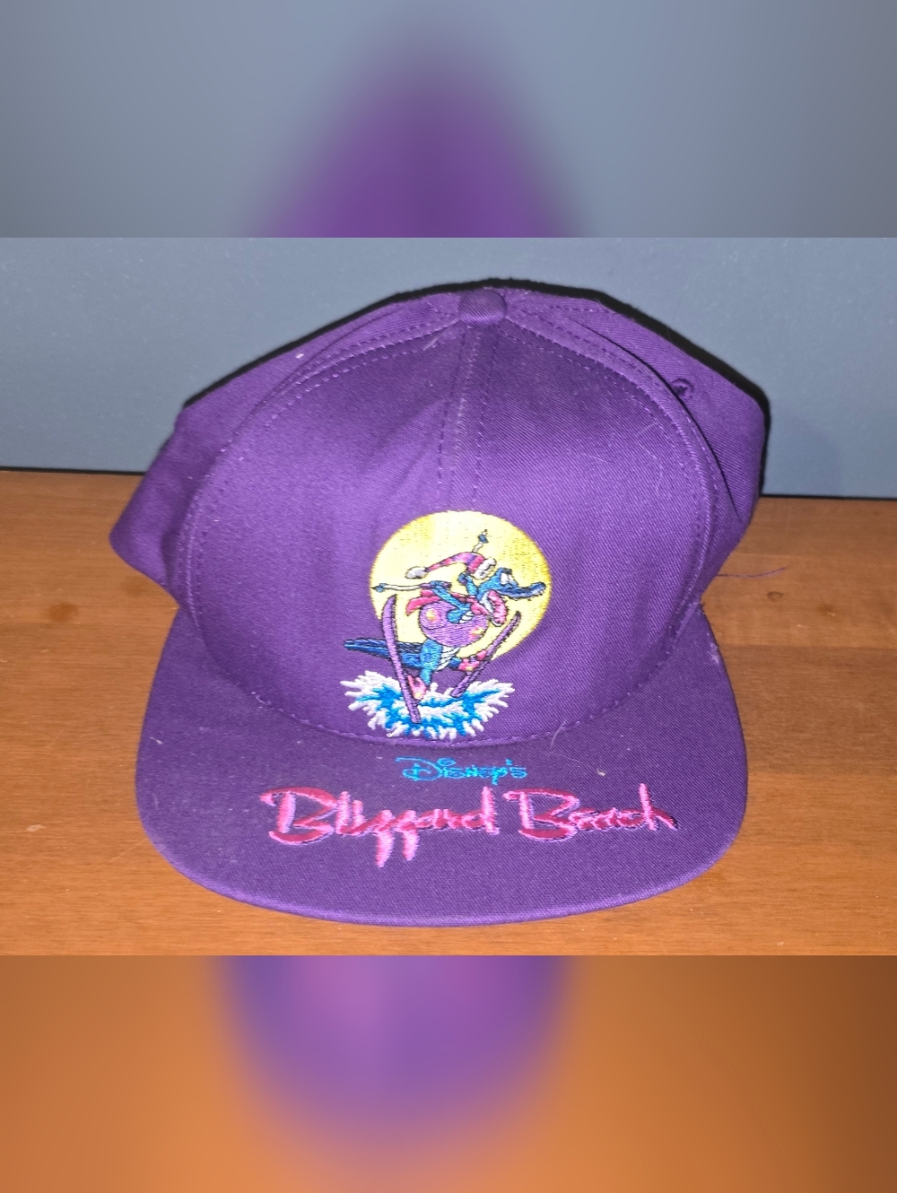 Vintage Disney's Blizzard Beach Purple Snapback Hat